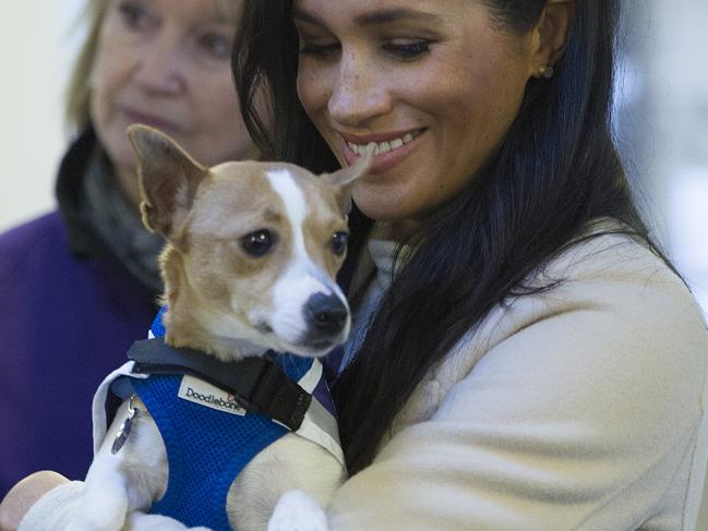 Meghan, Duchess of Sussex, holds Jack Russel dog called "Minnie" during her visit to Mayhew animal welfare charity.  Picture:  AP