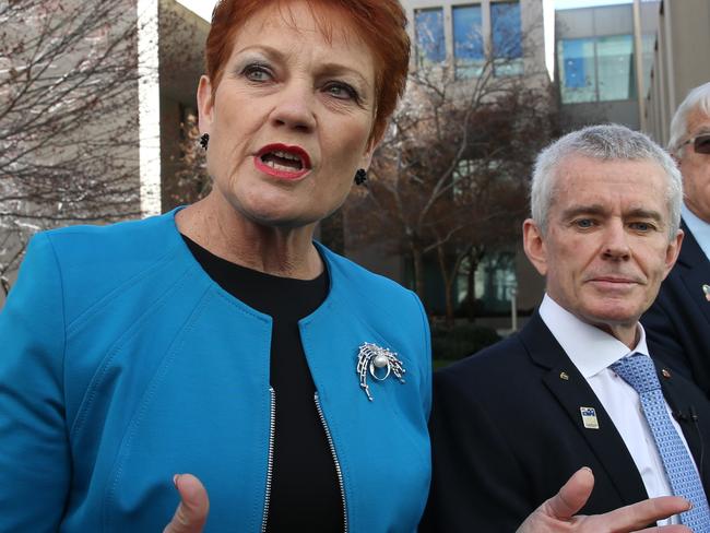 One Nation leader Pauline Hanson has stood by Senator Roberts throughout his citizenship saga. Picture: Gary Ramage