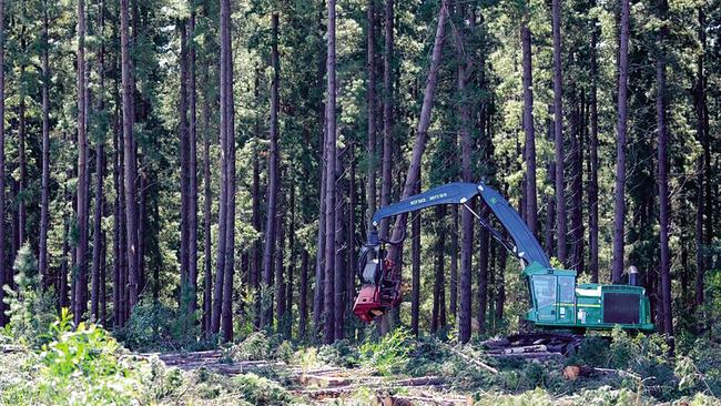 The $8m upgrade will increase supply by four million seedlings per season. Picture: Supplied.