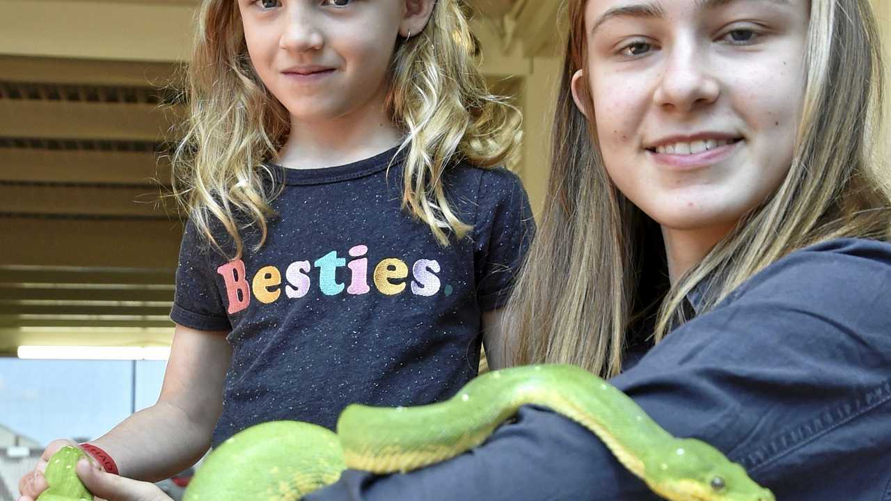 How you can meet native animals these school holidays | The Chronicle