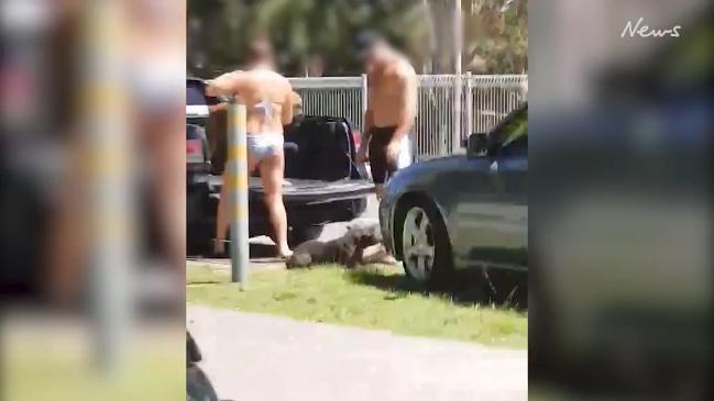 Man is captured on film beating into his dog at Palm Beach