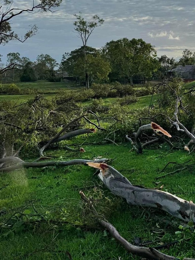 Fallen trees were also seen Burleigh Waters on the Gold Coast. Picture: NCA NewsWire / Scott Powick