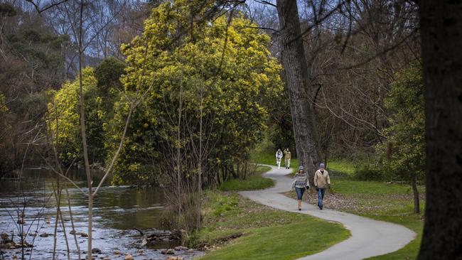 Winter walks along the Ovens River in Bright. Picture: Arsineh Houspian