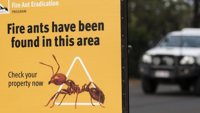 A Queensland government sign in Highfields advises that fire ants have been found in the area in July. Picture: Kevin Farmer