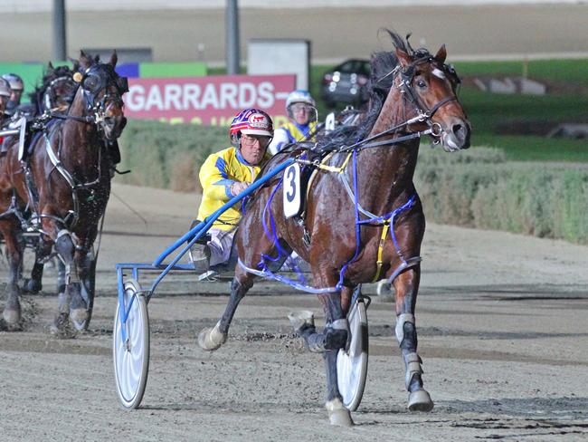 TAB’s Adam Hamilton rates Lennytheshark (above) the horse to beat, but insists he will really have to earn his win. Picture: Stuart McCormick