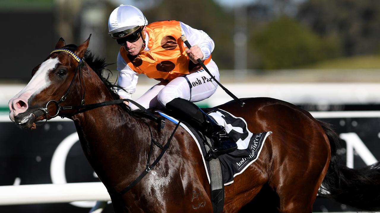 Menari joins an all-star lineup for The Everest at Randwick in October.