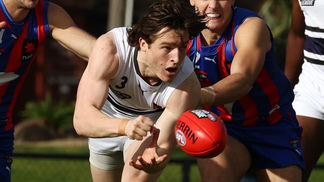 Josh Ward in action for Northern Knights. Picture: Michael Klein