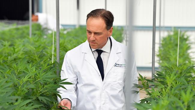 Federal Health Minister Greg Hunt at Australia’s first operational medical marijuana farm.