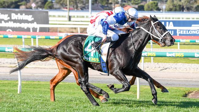 Wairere Falls looks set for a first-up win at Rosehill on Saturday. Picture: Getty Images
