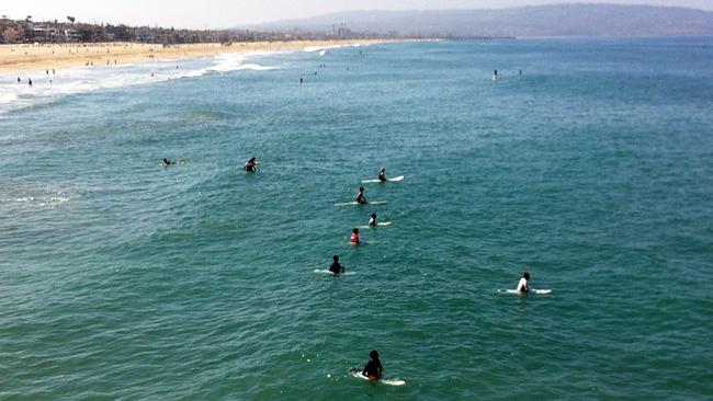 Surfers and swimmers return ...  to the ocean one day after a swimmer was bitten by a great white shark off Manhattan Beach. Picture: John Antczak