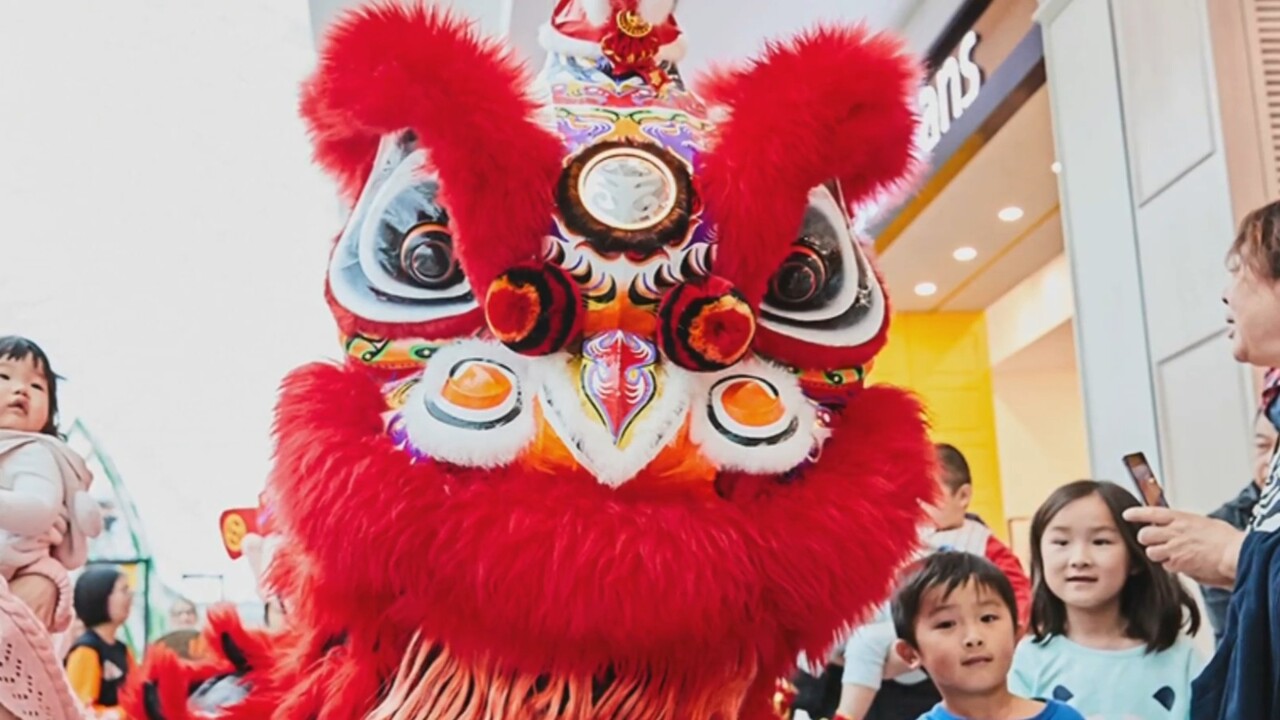 Albanese attends Lunar New Year festival in Melbourne