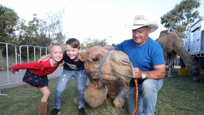 Gold Coast Show is on from tomorrow. Photo of Paige Fisher (6) and Flynn Fisher (9) with Tyson the camel and John Richardson from Yapoon. Photo by Richard Gosling