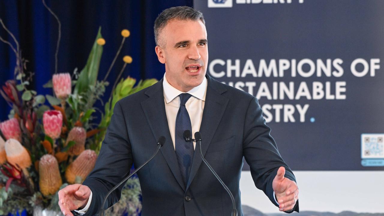 Premier Peter Malinauskas at Whyalla’s steel plant in April. Picture: GFG ALLIANCE/Brenton Edwards