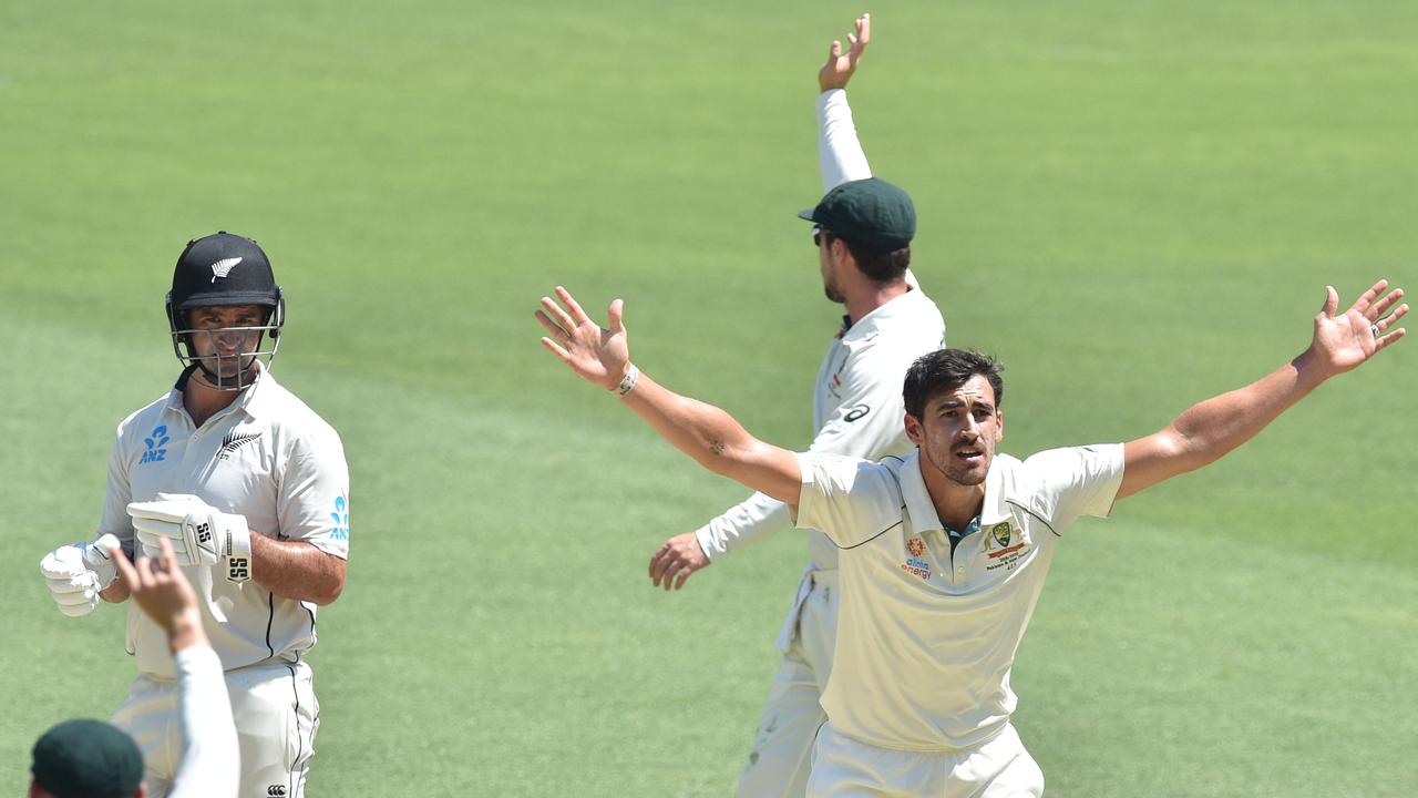 Mitchell Starc appeals as Colin de Grandhomme eyes umpire Aleem Dar's pending decision.