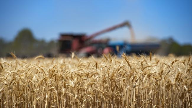 Indonesia and China have been tussling for position as Australia’s top wheat customer in the past couple of years. Picture: Zoe Phillips