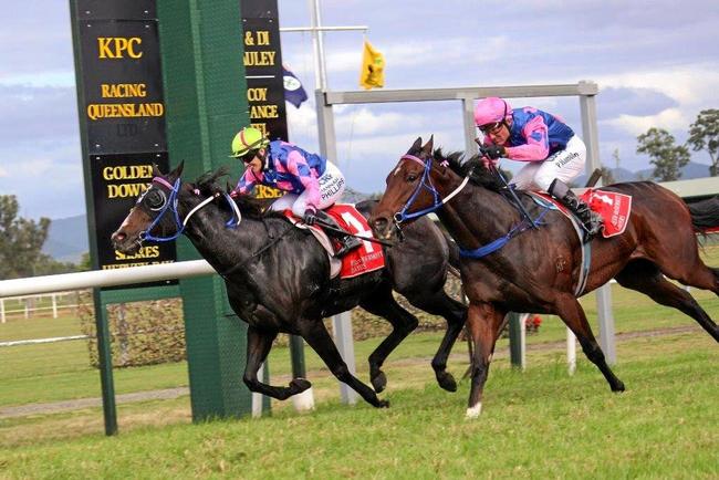 THINGS TO DO: The Kilcoy Races are one of the many events happening next week. Picture: Contributed