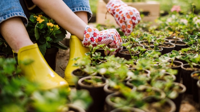 Mindful gardening is the new way to nix iso stress