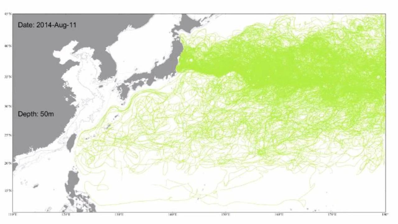 Simulated trajectory of particles released in the years after the Fukushima nuclear disaster. Picture: Professor Chau-Ron Wu