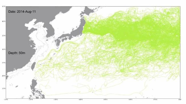 Simulated trajectory of particles released in the years after the Fukushima nuclear disaster. Picture: Professor Chau-Ron Wu