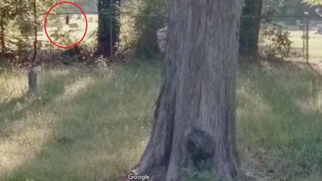 Creepy Thing Spotted In Google Street View Escape Com Au