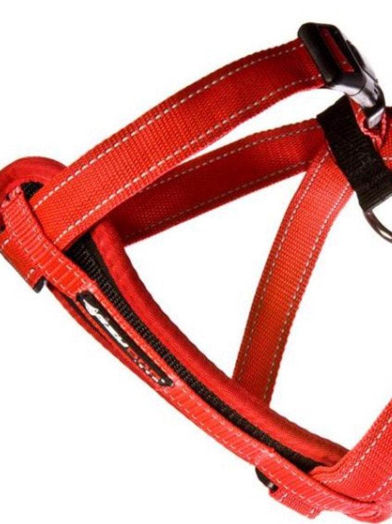 Petstock 2025 dog harness