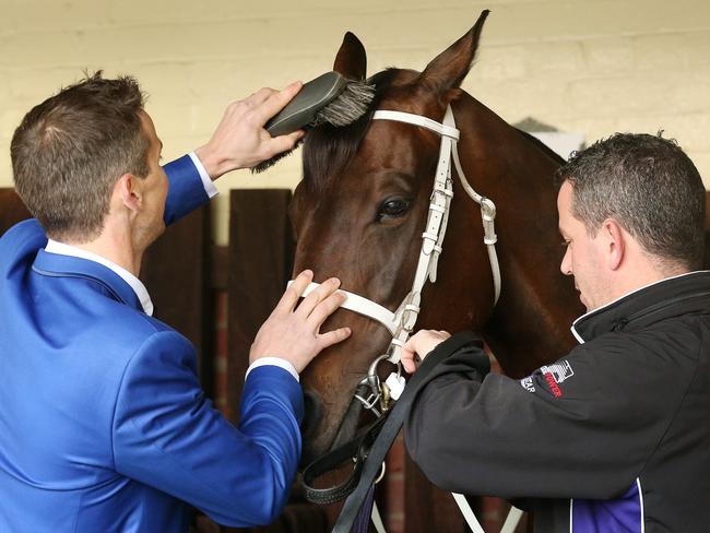 Winx gets some important grooming before her extraordinary victory. Picture: Colleen Petch