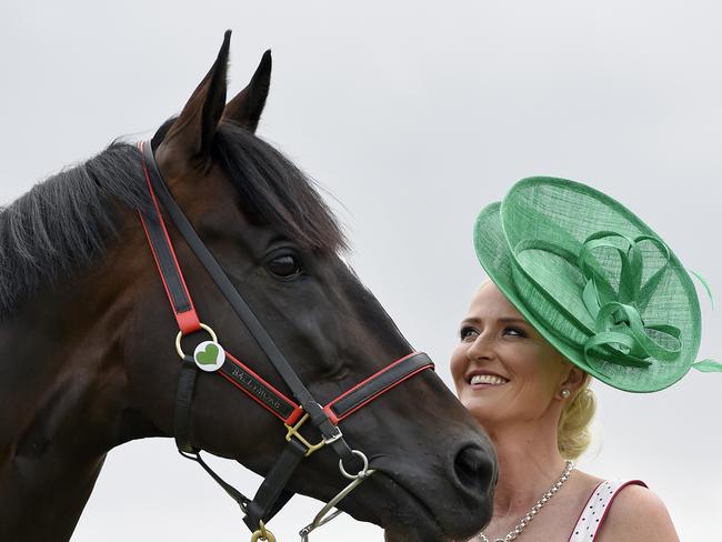 Melbourne Cup runner, Araldo with equine Dr Emma Nicol at Mike Moroney's stables, Flemington racecourse. Animal lovers have been urged to wear green to show their support of the thoroughbred horse industry. Picture: Andy Brownbill