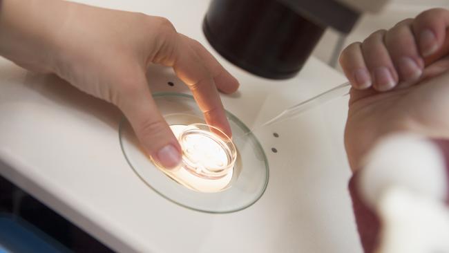 Embryologist adding sperm to egg