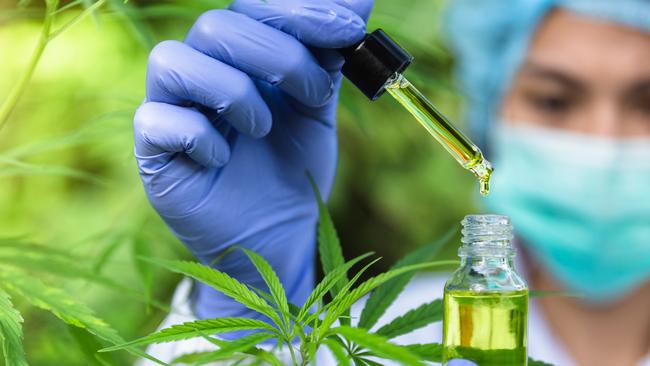 Cannabis oil can be used in pain relief. Picture: Istock