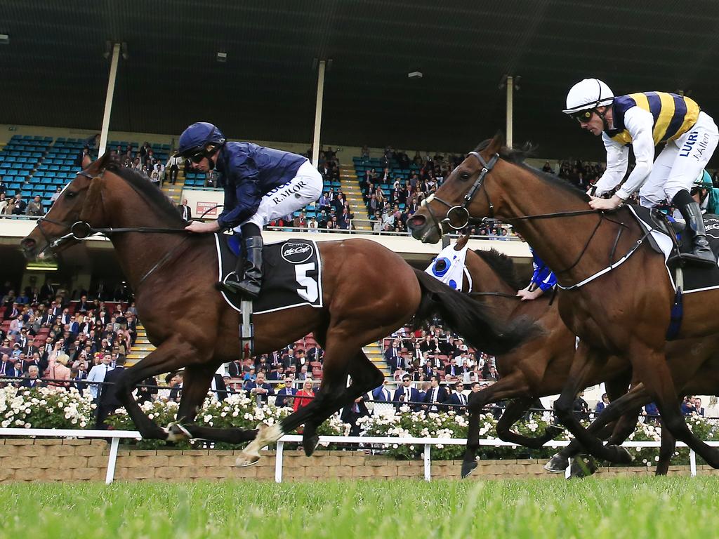 Ryan Moore and Hunting Horn take out the Moonee Valley Gold Cup.