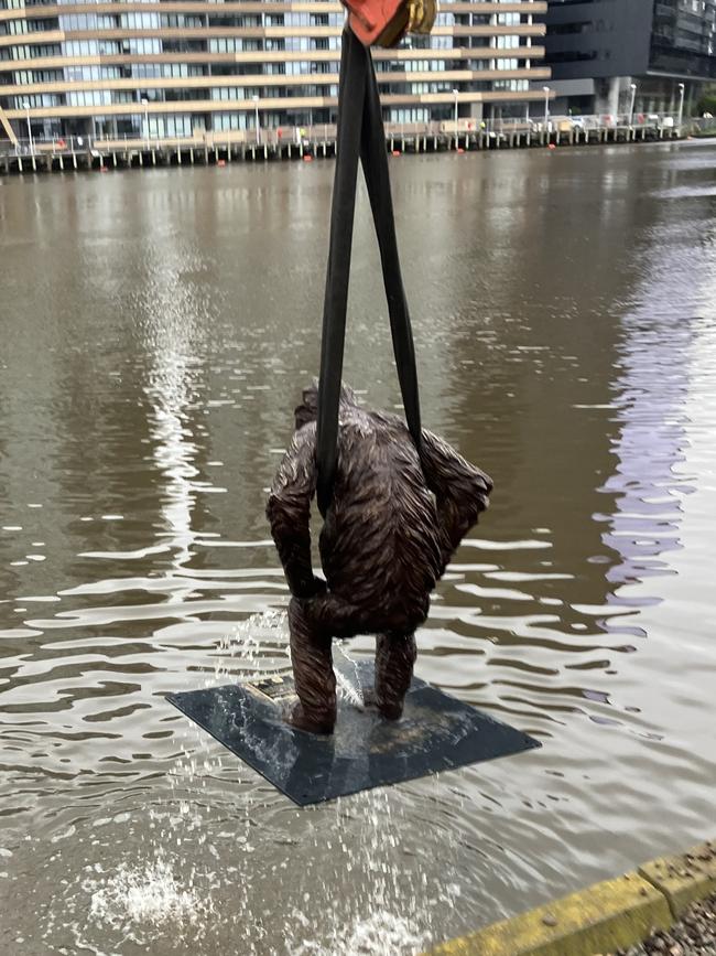 Neroli is retrieved from the river at Docklands.