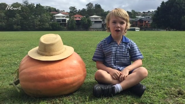 Prep kids grow massive pumpkin