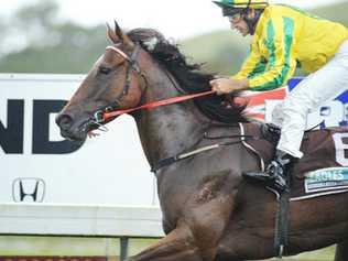 Darron Coleman was in winning form at Lismore yesterday taking out the Peter Warren Class 2 Handicap (1000m) with this ride. Picture: Jacklyn Wagner
