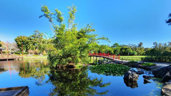 North Coast Regional Botanic Garden. Sandra Spence