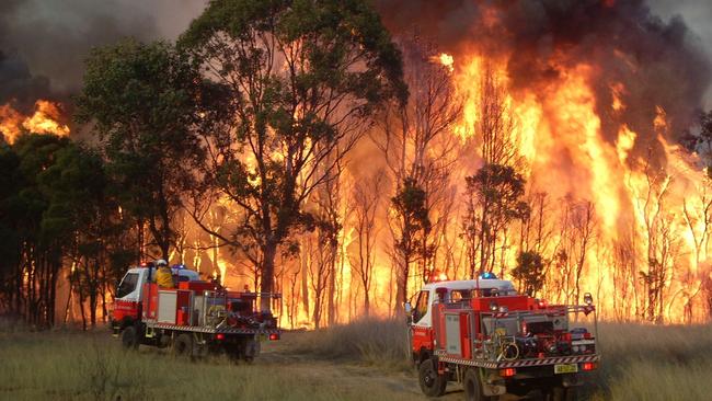 Police allege firefighting gear was stolen from the NSW Rural Fire Service.