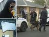 Immigration detainee who allegedly attacked guards arrested
