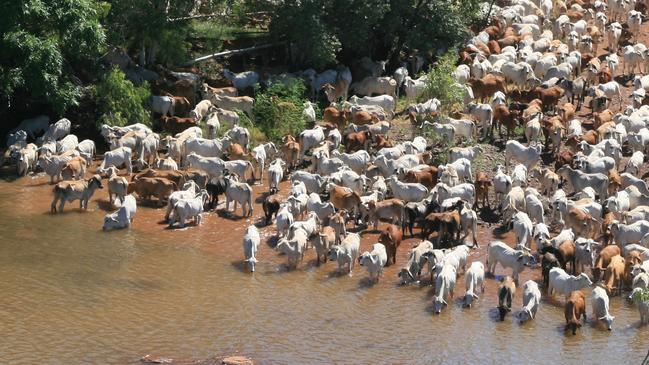 Gina Rinehart via Hancock Agriculture sold the Riveren (pictured) and Inverway stations to Peter and Jane Hughes.