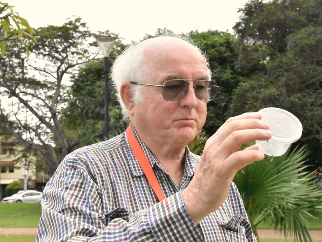 Principal Entomologist Brian Thistleton releases mealybug ladybirds (cryptolaemus) into a frangipani tree to target problematic mealybugs.