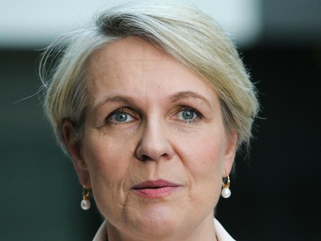 SYDNEY, AUSTRALIA : NewsWire Photos- AUGUST 28 2024; Tanya Plibersek MP Ã Minister for the Environment and Water addresses the media in a press conference after a tour through the Newscorp printing facility in Sydney recognising News Publishing media industry for recycling leadership.  Picture: NewsWire / Gaye Gerard