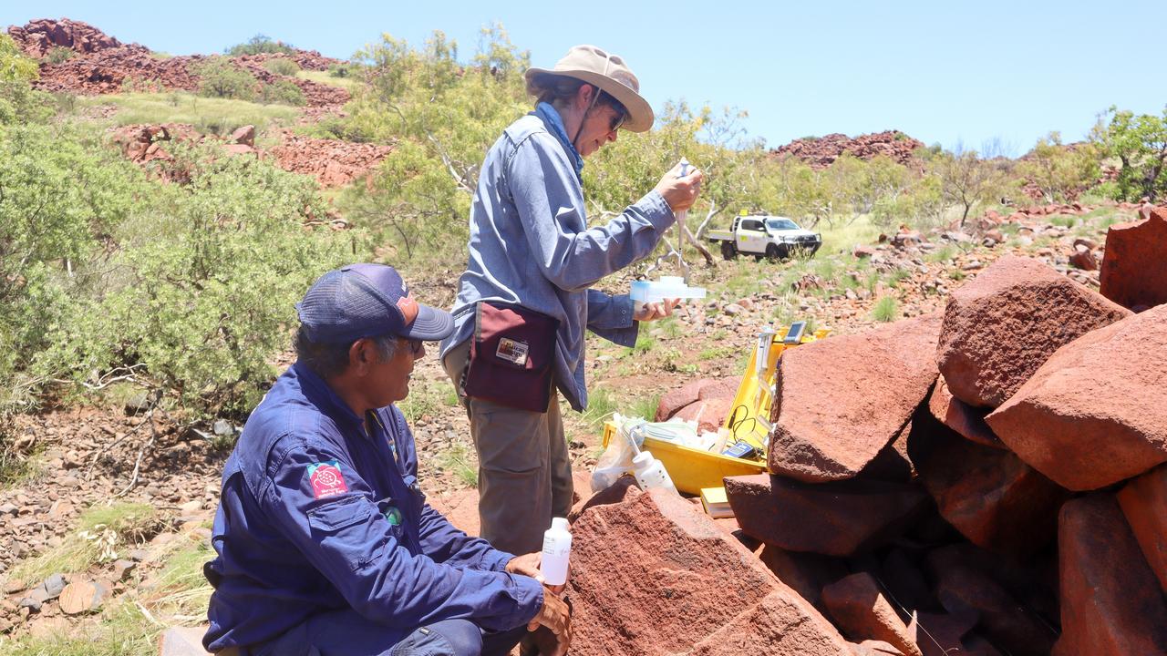 Rock art findings a boost for North West Shelf as decision looms