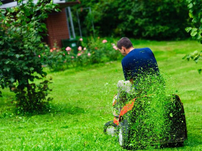 Tweed gardener allegedly caught drink driving on lawnmower