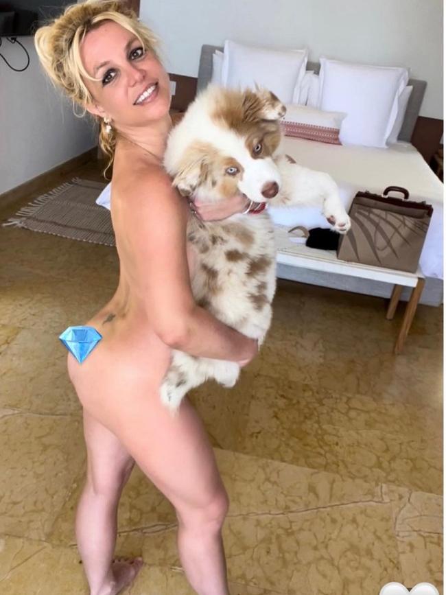 Britney Spears poses nude with her dog, Sawyer.