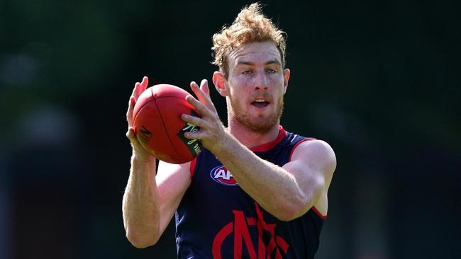 Harrison Petty has signed a new deal with the Demons. Picture: AAP