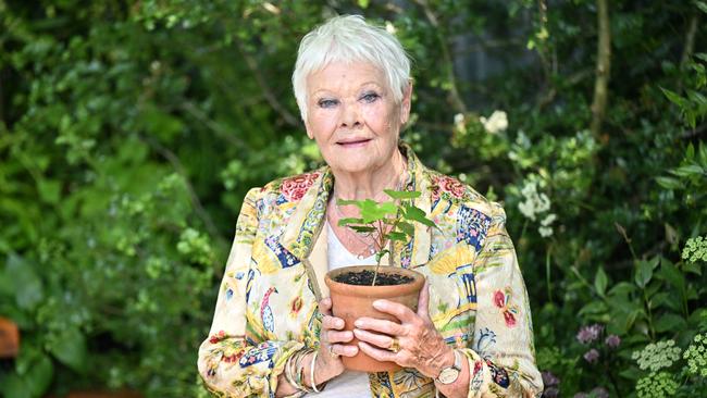 Dame Judi Dench has become emotional when talking about Dame Maggie Smith. Picture: Getty Images