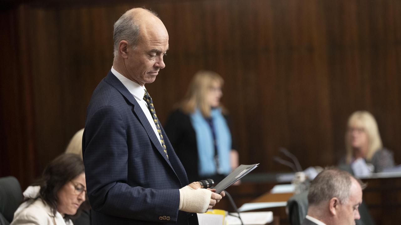 Question time in the Tasmanian parliament, Guy Barnett MP. Picture: Chris Kidd