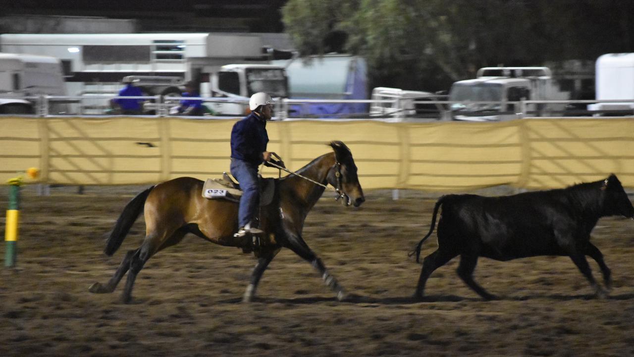 Friday night campdraft