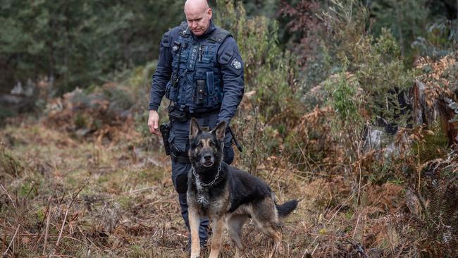 Police with dogs were involved in the search. Picture: Jason Edwards