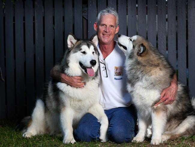 Gavin Devine with his young dogs Mya and Sam. Gavin has made a website to commemorate his Delta Therapy Dog Nanook who passed suddenly last year. People share their memories with Nanook on the site. Pics Adam Head