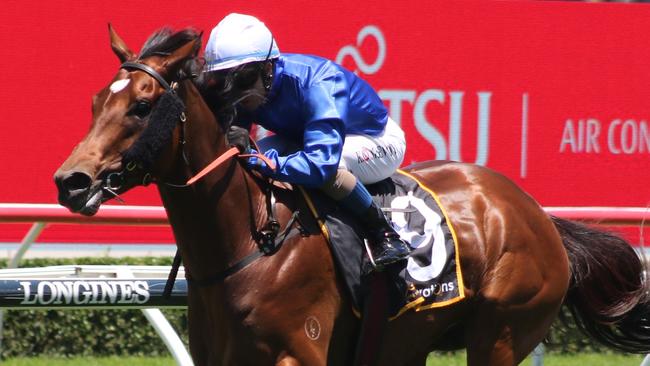 Bacchanalia can end the day on a high note at Randwick. Picture: Grant Guy