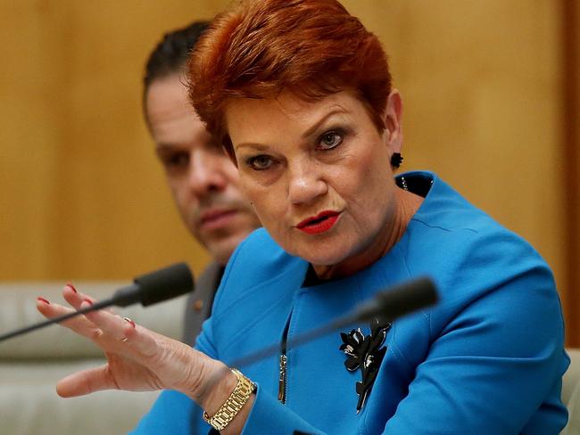 One Nation has declined to explain why Ms Hanson’s personal account was on the party’s website and why it was removed. Picture: Kym Smith